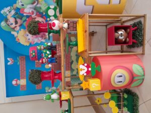 Pegue e Monte Super Mario Luxo (4)